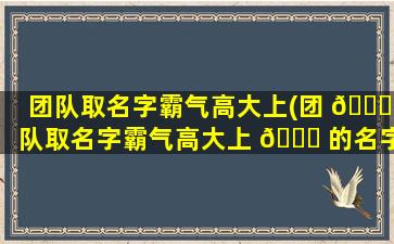 团队取名字霸气高大上(团 💐 队取名字霸气高大上 🕊 的名字)